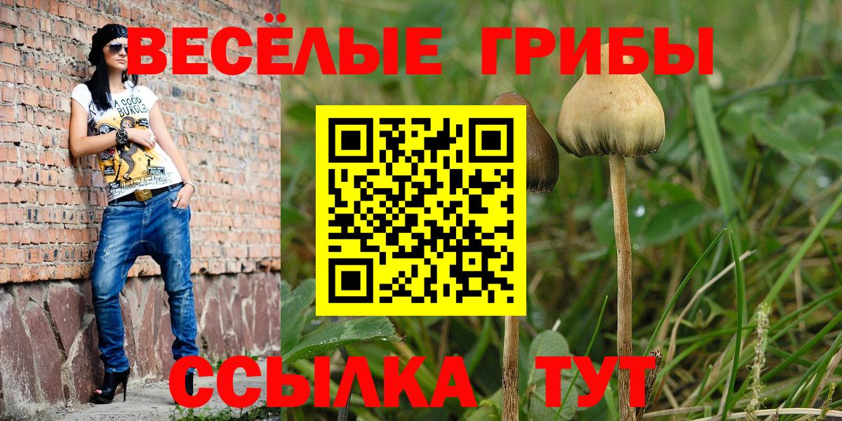 Краснодар  Псилоцибиновые грибы Cubensis  Вход с VPN 